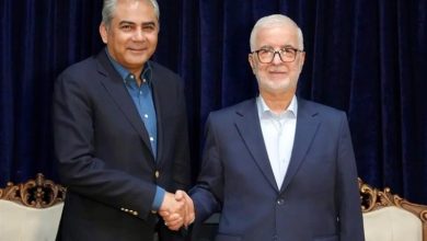 مومنی: دستیابی به تجارت 10 میلیارد دلاری با پاکستان ممکن است / اخبار سیاسی روز , اخبار سیاست داخلی