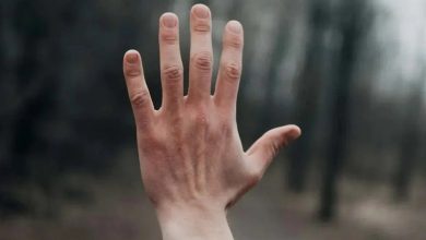 «پنج چُنگُل» سیستان؛ از نخستین انیمیشنهای شفاهی جهان! / اخبار سیستان و بلوچستان - اخبار استانها