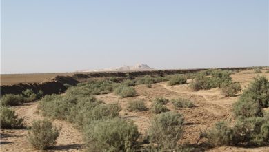 تهدید بیابانیزایی بر سر 300 هزار هکتار از مراتع گلستان / اخبار گلستان - اخبار استانها