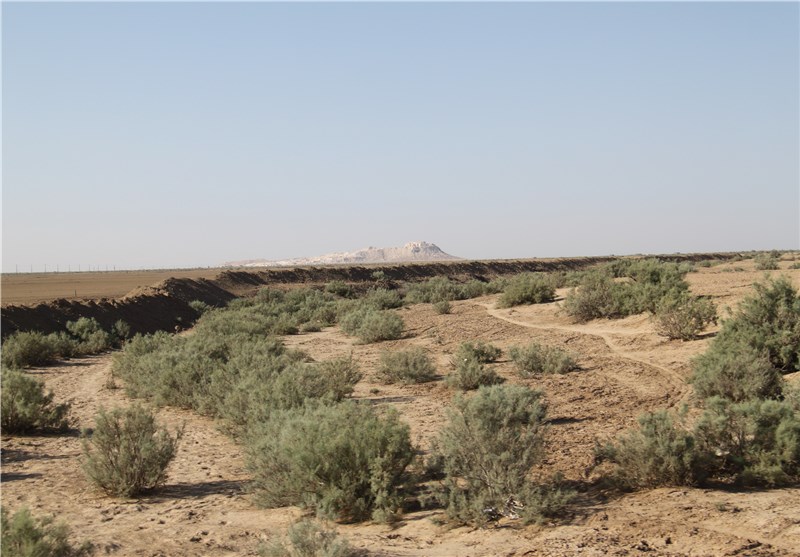 تهدید بیابانیزایی بر سر 300 هزار هکتار از مراتع گلستان / اخبار گلستان - اخبار استانها