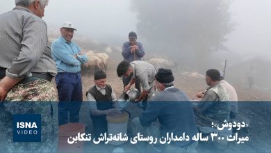 آیین ۳۰۰ ساله «دودوش»؛ میراث دامداران روستای شانهتراش تنکابن / دودوش , شانهتراش , تنکابن , دامداران , سنت