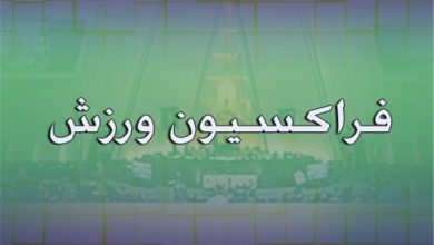 پیام فراکسیون ورزش مجلس برای تیم ملی فوتبال درباره جام جهانی 2026 / اخبار سیاسی روز , اخبار مجلس