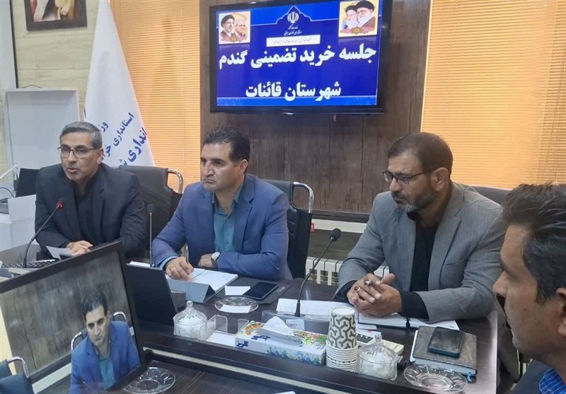 ممنوعیت خروج گندم از قائنات؛ تأکید بر خرید تضمینی / اخبار خراسان جنوبی - اخبار استانها