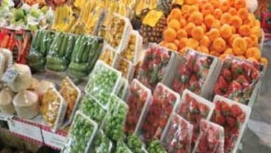 تاکید سرپرست سازمان مرکزی تعاون روستایی بر رفع موانع سرمایهگذاری و اصلاح نظام توزیع در بخش کشاورزی / کشاورزی , تعاون روستایی , نظام توزیع , سرمایه گذاری , بهره وری