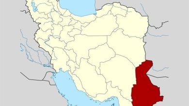 دژ امنیت غذایی ایران در جنوب شرق؛ تأمین 973 تن گوشت برای 17 استان / اخبار سیستان و بلوچستان - اخبار استانها