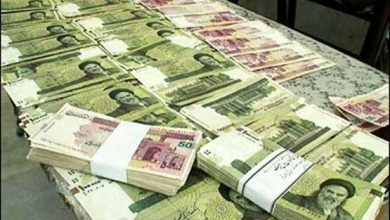بانک مرکزی: افزایش ذخایر ارزی ایران در گرو مدیریت صحیح سیاستهای پولی / ذخایر ارزی , سیاست پولی , بانک مرکزی , اقتصاد ایران , ارز