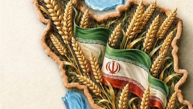 از امنیت غذایی و کشاورزی دانشبنیان تا حمایت از تولید / اخبار همدان - اخبار استانها