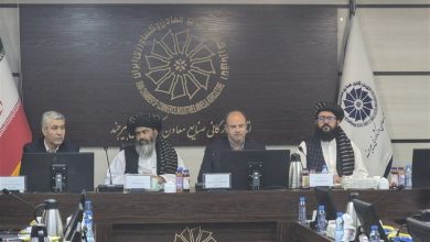 پل تجارت خراسان جنوبی و هلمند؛ از مرز تا سرمایهگذاری مشترک / اخبار خراسان جنوبی - اخبار استانها
