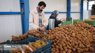 شناسهدار کردن انبارها و سورتینگها در دستور کار کارگروه صادرات آستارا / آستارا , صادرات , انبارها , سورتینگ , کالاهای غیرنفتی