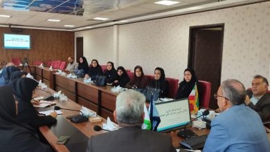 پایش میدانی اجرای پزشکی خانواده و نظام ارجاع در شهرستان قائن / اخبار خراسان جنوبی - اخبار استانها