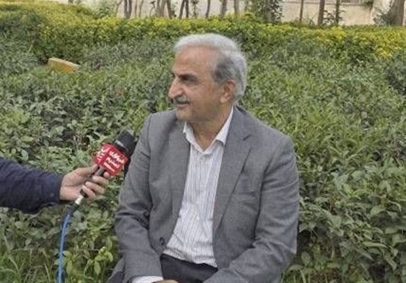 پیشبینی خرید 120 هزار تن برگ سبز چای از باغداران گیلان و مازندران / اخبار گیلان - اخبار استانها