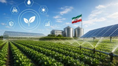 تزریق 60 میلیارد ریال سرمایه به کشاورزی کردستان / اخبار کردستان - اخبار استانها