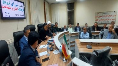هماهنگی فراگیر برای برگزاری مراسم شهید فرشاد علوی در کهگیلویه / اخبار کهگیلویه و بویراحمد - اخبار استانها