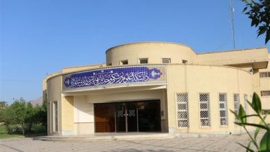 صعود دانشگاه علوم پزشکی شاهرود در رتبهبندی جهانی سایمگو 2026 / اخبار سمنان - اخبار استانها