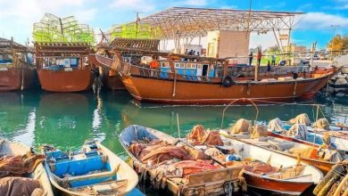 ناوگان صیادی استان هرمزگان در همه بنادر فعال است / اخبار هرمزگان - اخبار استانها