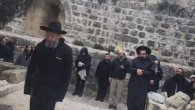 بیانیه ۸ کشور عربی و اسلامی در محکومیت تعرضات اسرائیل به مسجدالأقصی