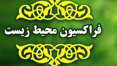 تقویت ضمانتهای حقوقی برای مقابله با تخریب محیط زیست در دستورکار مجلس / اخبار سیاسی روز , اخبار مجلس