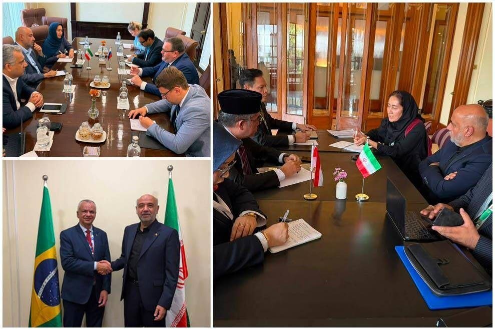 تاکید وزیر کار ایران بر گسترش همکاری با کشورهای بریکس در حاشیه نشست هند / بریکس , وزیر کار , ایران , همکاری دوجانبه , اشتغال
