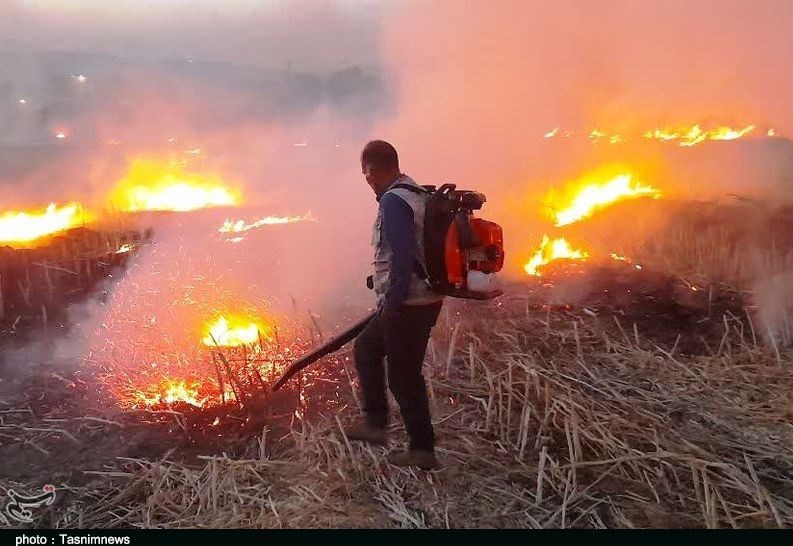 مهار 290 حریق عرصههای طبیعی در خرمآباد / اخبار لرستان - اخبار استانها