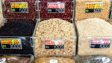 فائو: قیمت جهانی مواد غذایی در ماه ژوئن کاهش یافت / فائو , قیمت مواد غذایی , غلات , شکر , لبنیات