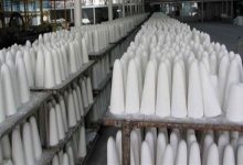 همافزایی کارخانهها و دانشگاهها برای ارتقای کشت چغندرقند / اخبار فارس - اخبار استانها