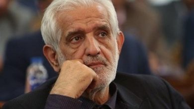 سروری: خیابانها گویای عشق مردم به رهبر شهید انقلاب است / اخبار سیاسی روز , اخبار سیاست داخلی