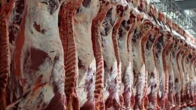 واردات گوشت با قبض انبار و تسهیل ثبت سفارش کالاهای اساسی در شرایط جنگی / واردات گوشت , تسهیل تجارت , کالاهای اساسی , شرایط جنگی , وزارت جهاد کشاورزی
