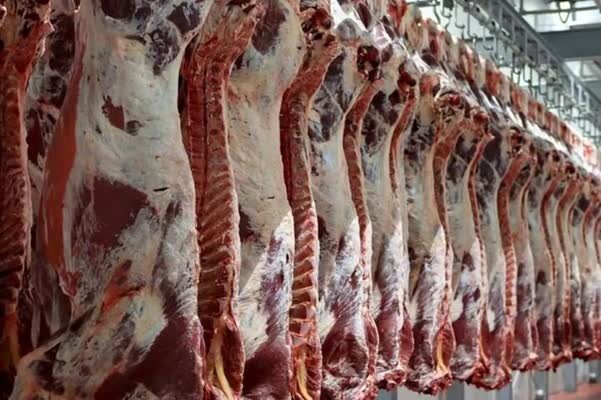 واردات گوشت با قبض انبار و تسهیل ثبت سفارش کالاهای اساسی در شرایط جنگی / واردات گوشت , تسهیل تجارت , کالاهای اساسی , شرایط جنگی , وزارت جهاد کشاورزی
