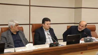 پایگاه میراث ملی دستکندهای تاریخی کنزق ساماندهی میشود / اخبار اردبیل - اخبار استانها
