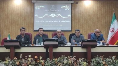 حل میدانی چالشهای معادن طبس؛ کمیسیون کارگری استان وارد عمل شد / اخبار خراسان جنوبی - اخبار استانها