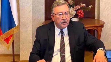 اولیانوف: مذاکرات مسکو و آژانس درباره نیروگاه زاپروژیا صریح بود
