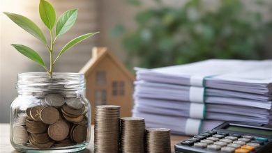 مشارکت 129 میلیارد تومانی مودیان زنجانی در پروژههای استانی / اخبار زنجان - اخبار استانها