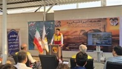 مدیرعامل توانیر: حذف یارانه برق مشترکان متخلف در دست بررسی است / اخبار بوشهر - اخبار استانها