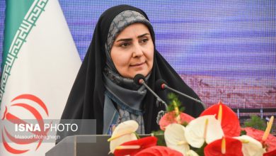 وزیر راه: تمام امکانات حملونقل برای تسهیل حضور مردم در مراسم تشییع رهبر شهید بسیج شد / وزیر راه , حمل و نقل , مراسم تشییع , رهبر شهید , جابجایی