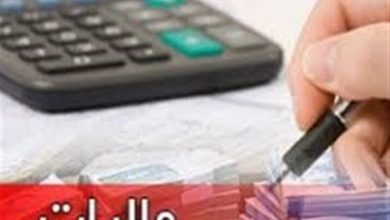 جهش 56 درصدی درآمدهای مالیاتی در بوشهر / اخبار بوشهر - اخبار استانها