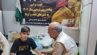 خدمات درمانی مواکب دانشگاه علوم پزشکی ایران در اربعین / اخبار ایلام - اخبار استانها