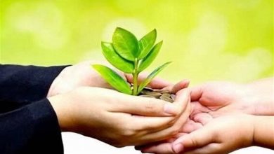 حمایت خیر نیکوکار خارجنشین از 345 مددجوی البرزی / اخبار البرز - اخبار استانها