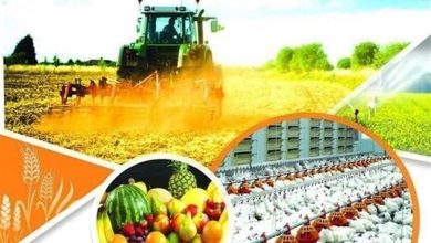 آغاز کارگاههای کارآفرینی و اشتغالزایی زنان روستایی مازندران / اخبار مازندران - اخبار استانها