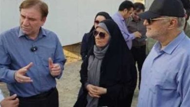 وزیر راه و شهرسازی در بوشهر: بنادر خط مقدم جبهه اقتصادی هستند / اخبار بوشهر - اخبار استانها