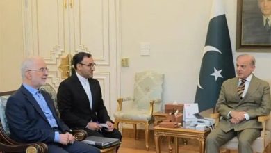 مومنی با شهباز شریف دیدار کرد / اخبار سیاسی روز , اخبار سیاست خارجی