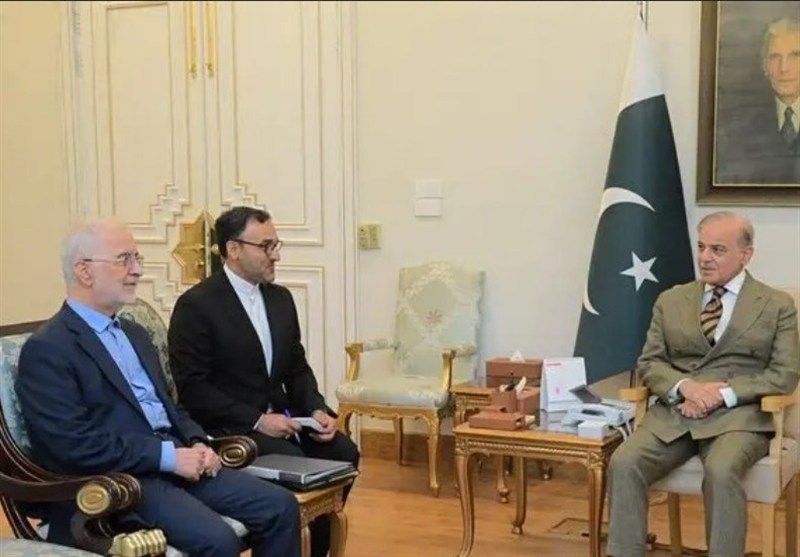 مومنی با شهباز شریف دیدار کرد / اخبار سیاسی روز , اخبار سیاست خارجی