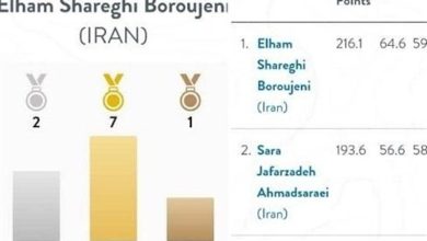 کسب دو نصاب ملی غواصی آزاد توسط بانوی کیش / اخبار جزایر خلیج فارس - اخبار استانها