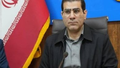 حملات دشمن به بوشهر و دشتی خسارت جانی نداشت / اخبار بوشهر - اخبار استانها