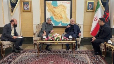 ورود وزیر کشور پاکستان به تهران با استقبال مومنی / اخبار سیاسی روز , اخبار دولت