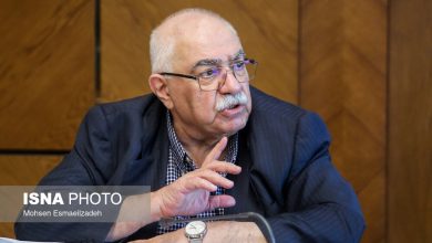 کنشگر صنعتی: ایران با ظرفیتهای موجود میتواند جزو ۱۰ کشور برتر جهان باشد / ایران , پیشرفت , ظرفیت , امکانات , کنشگر صنعتی