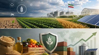 تبیین دیدگاههای شهید آیتالله خامنهای درباره کار و تولید / اخبار مازندران - اخبار استانها
