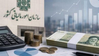 برخی واحدهای بزرگ صنعتی در استان اردبیل با معافیت مالیاتی روبرو شدند / اخبار اردبیل - اخبار استانها