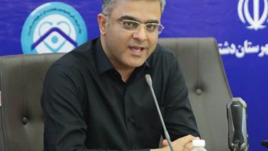 دشتستان پایلوت طرح پزشک خانواده شد / اخبار بوشهر - اخبار استانها