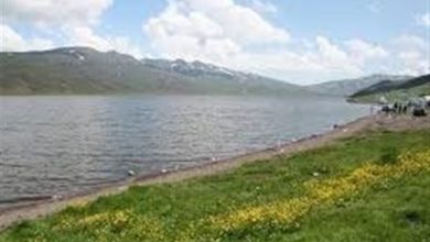 تالاب نئور صاحب سند مالکیت شد / اخبار اردبیل - اخبار استانها