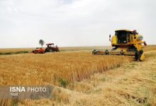 جذب تسهیلات توسعه مکانیزاسیون کشاورزی تنها ۴ درصد است / مکانیزاسیون کشاورزی , تسهیلات کشاورزی , وزارت جهاد کشاورزی , جذب تسهیلات , کشاورزی